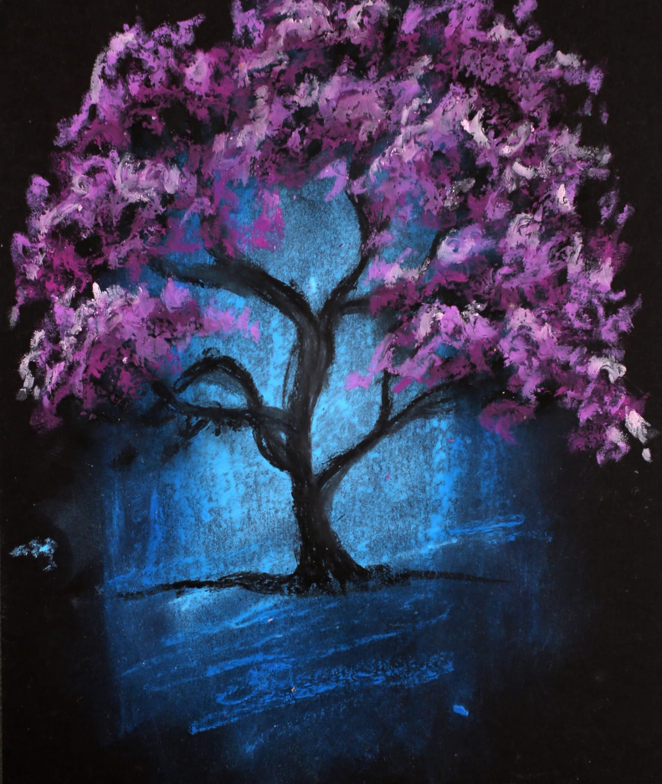 A dark tree with a crown of purple blossom against a glowing blue ground, in oil pastel on black paper.