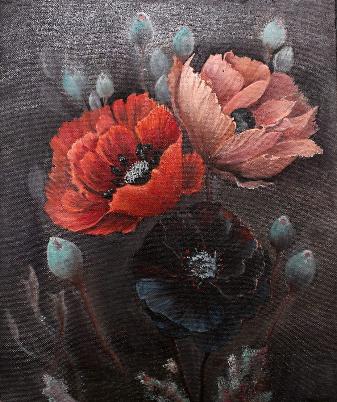 Three poppies in scarlet, blush pink and near-black, with pale green buds, on a smoky dark ground.
